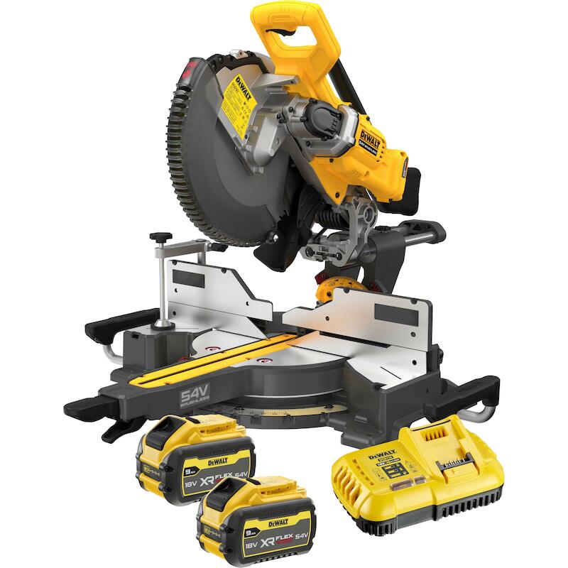 ACCU-AFKORTZAAGM.54V/2X9AH  DCS781X2-QW     DEWALT