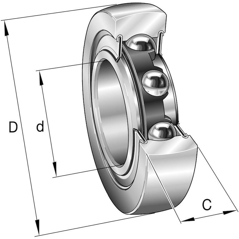 EEENRIJIGE LOOPROL          LR206-2RSR>A       INA