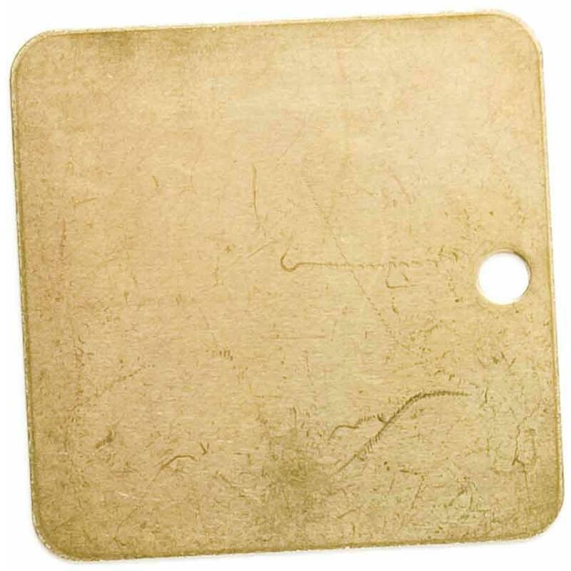IDENTIFICATIEPLAAT - BRADY 023213 - 51 MM BLANCO (25 EA)