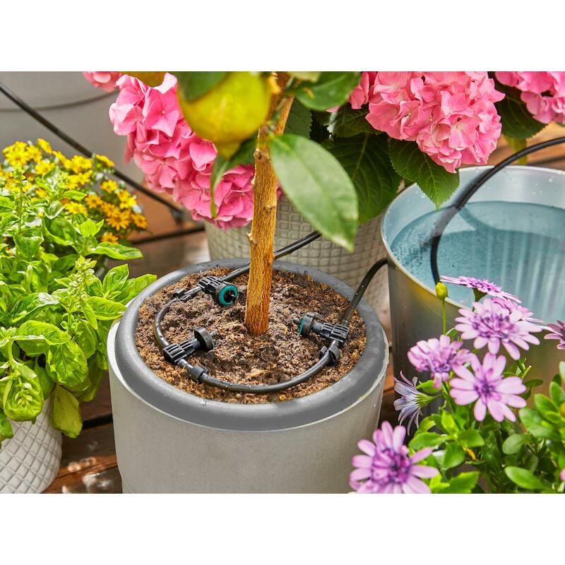 VAKANTIEBEWATERINGSSET      AQUABLOOM SET  GARDENA