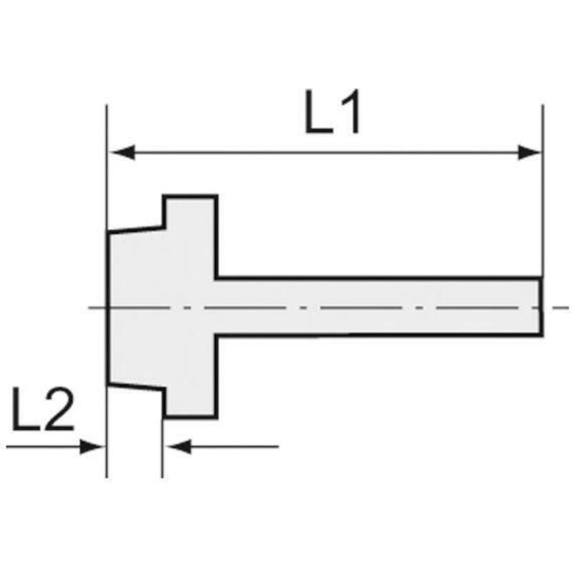 SLANGPILAAR 8MM X 1/8"M/BSPT  MSN239R1808 MS    RI