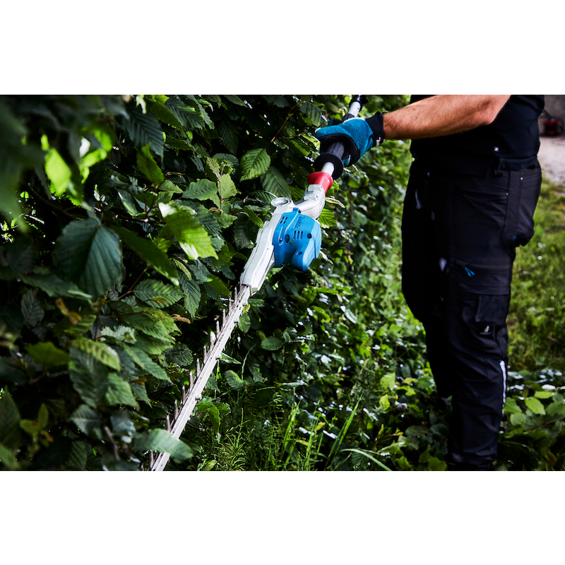 TAILLE-HAIES SUR PERCHE LXT® - DUN500WZ - MAKITA