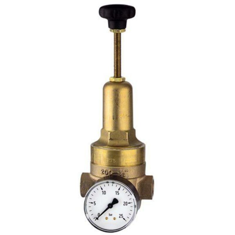 DRUKREGELAAR 1/2" 1,5-20B   400.03         RIEGLER
