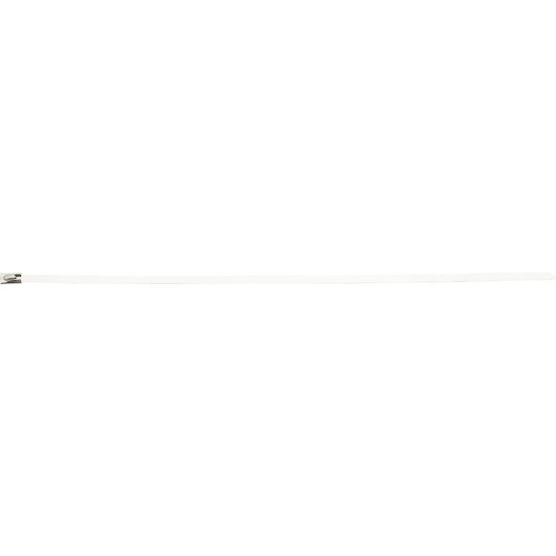 COLLIER DE SERRAGE INOX     134059(100) 4,6X300