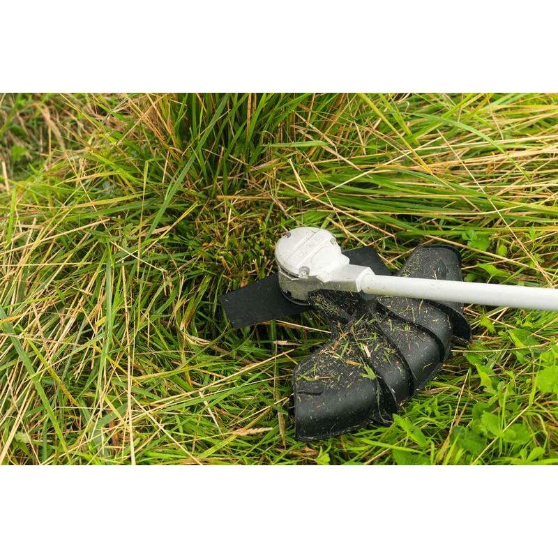 LAME DÉBROUSSAILL.25CM/2D   F016800667       BOSCH