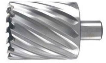 KERNBOOR HSS 31X55MM        754520 WELDON-19  HIKO