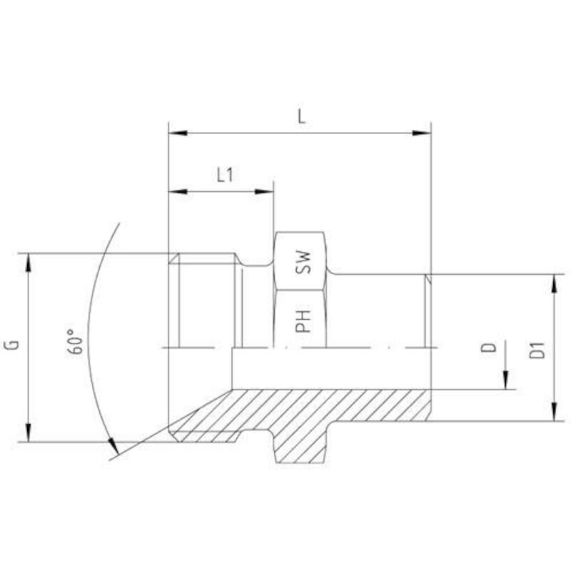 LASNIPPEL               0806511-06          RVS PH
