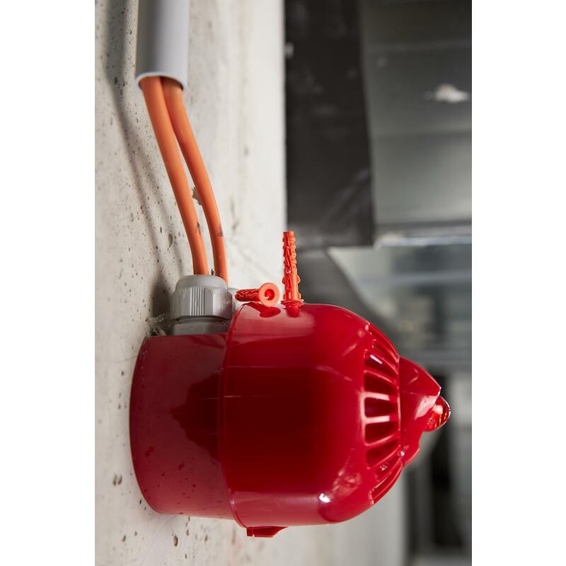 NYLONPLUG 6X30 MET KRAAG    NYL        057080 SPIT