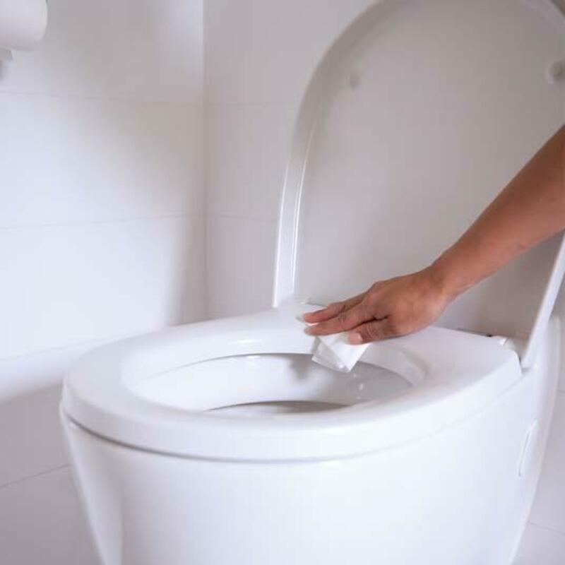 TOILETBRILREINIGER          122010103      90ML HG