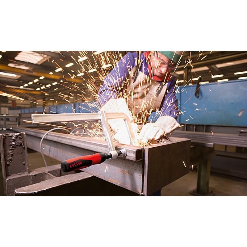 PRESSE À VIS ACIER 100X50   GZ10-2K     (2C)BESSEY
