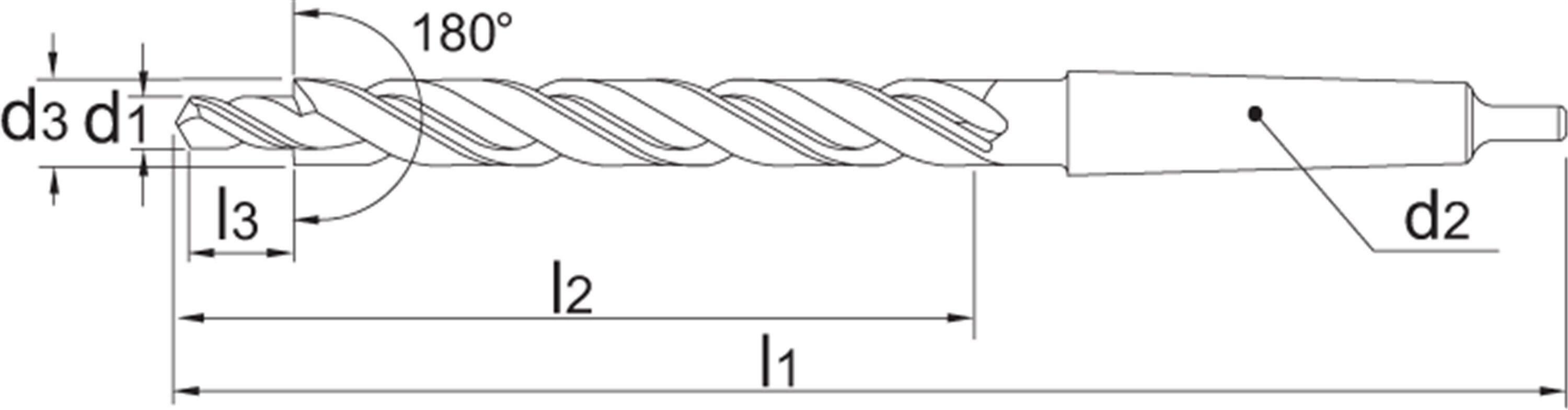 HSS MEERFASENBOOR DIN 8377 180°, MK M12 13,5X20MM - 167001200 - PHANTOM
