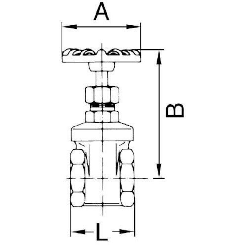 SCHUIFAFSLUITER - 103780 250.39 RIEGLER