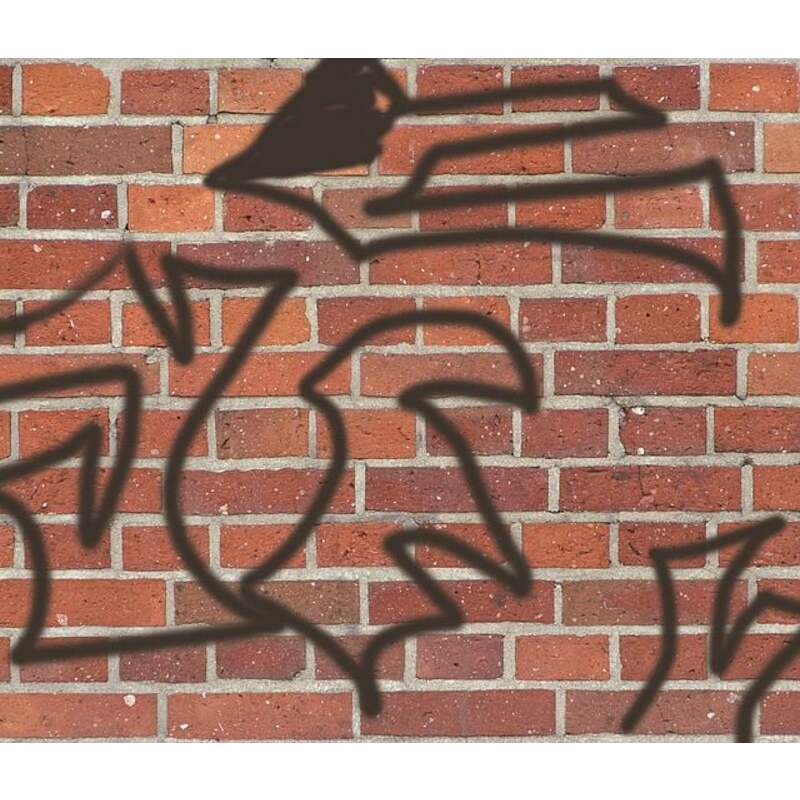 GRAFFITISHIELD ANTI-GRAFF.  57101 10L       RUST-O