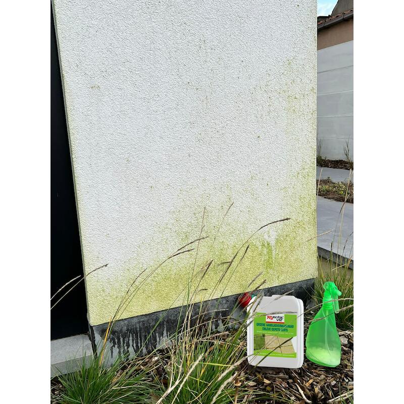 ANTI-MOS 10 LITER 60024                   RECTAVIT