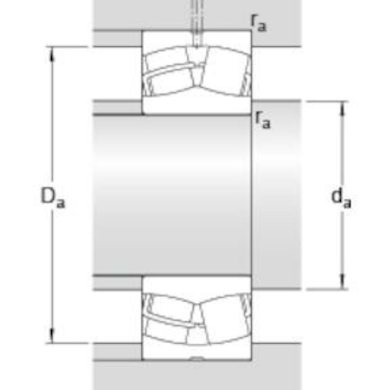 TWEERIJIGE TONLAGER - SKF 24020 CC/C3W33