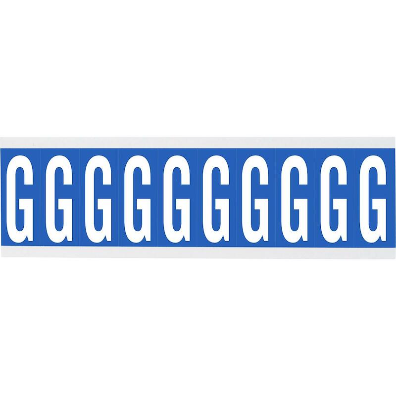 LETTER - BRADY 912248 - 'G' WIT OP BLAUW 22X38 MM(250 EA)