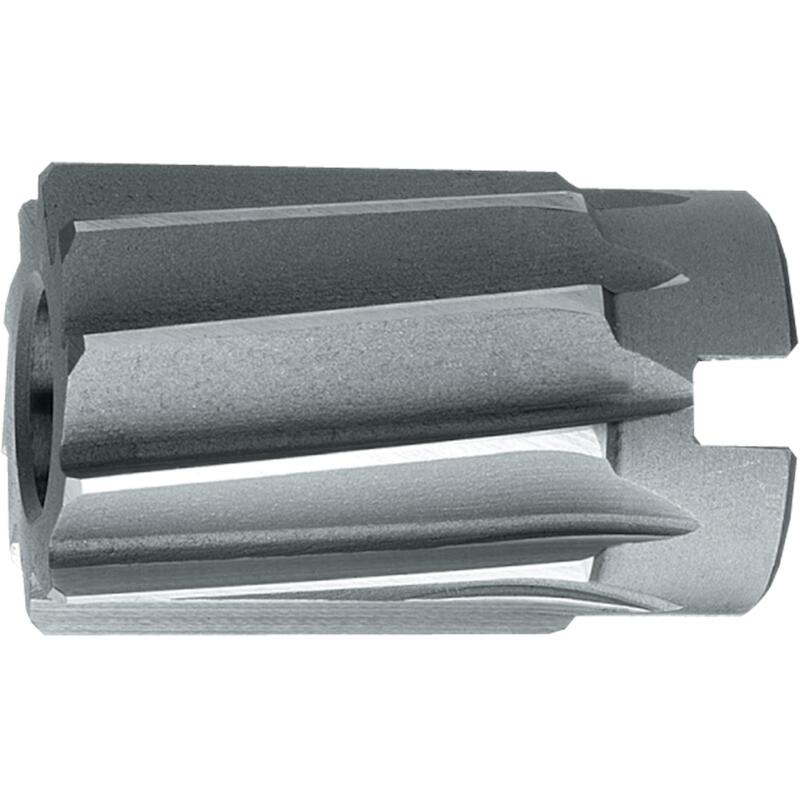 HSS OPSTEEKRUIMER DIN 219-B H7 80 MM - 516508000 - PHANTOM