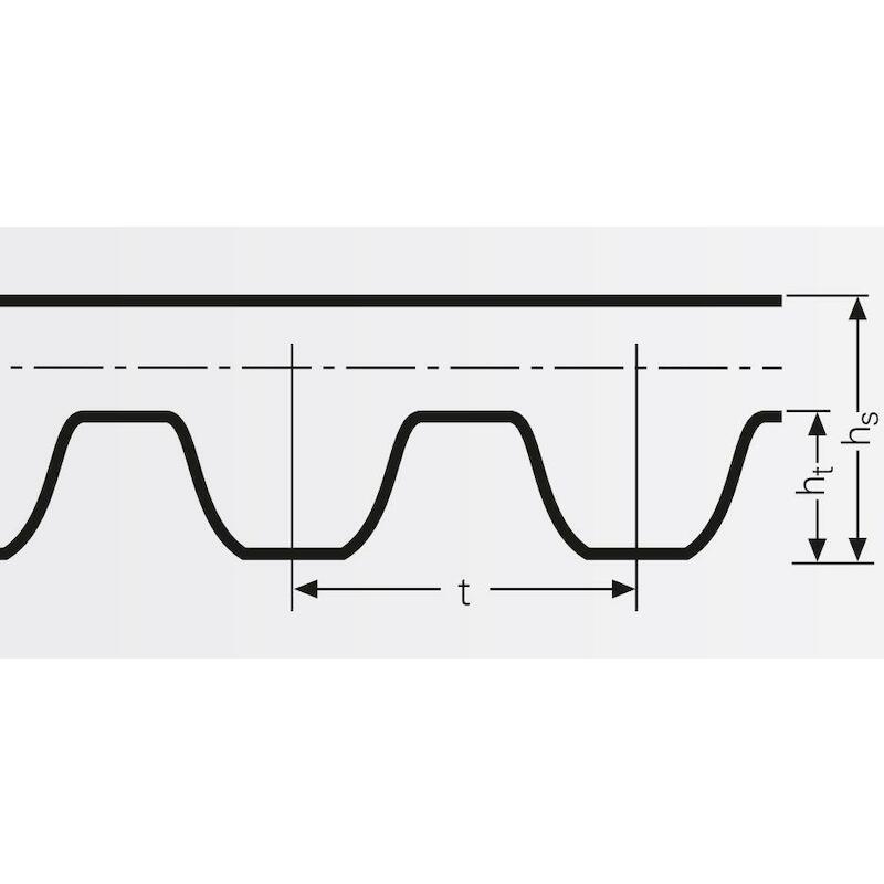 TANDRIEM CTD SYNCHROCH.CARB.8M 1600   B=62MM CONTI