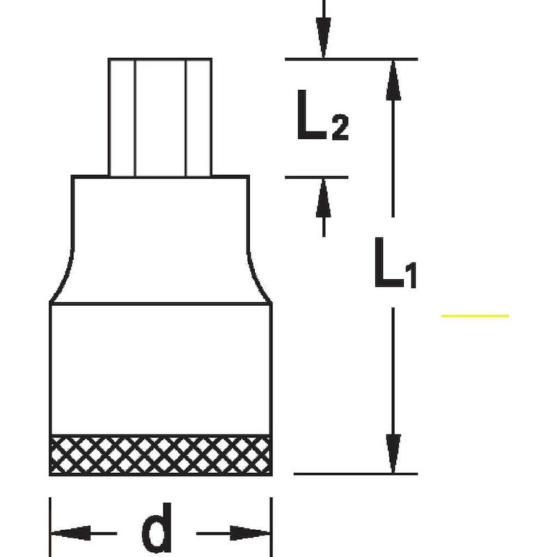 DOUILLE-TOUR.1/2" 6P. 6MM   IN 19           GEDORE