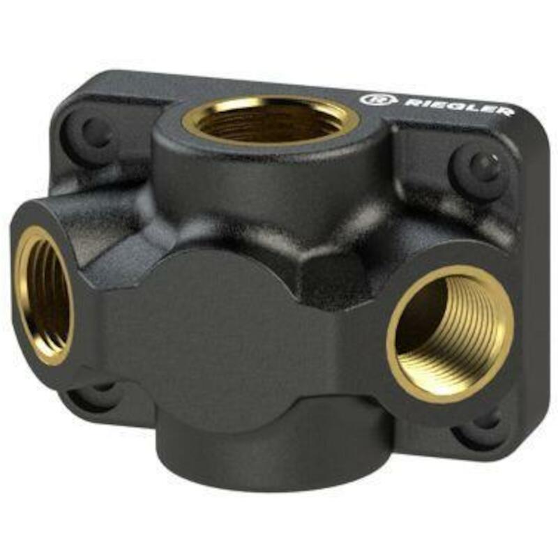 MUURPLAAT - 112623 DVD34-2 RIEGLER