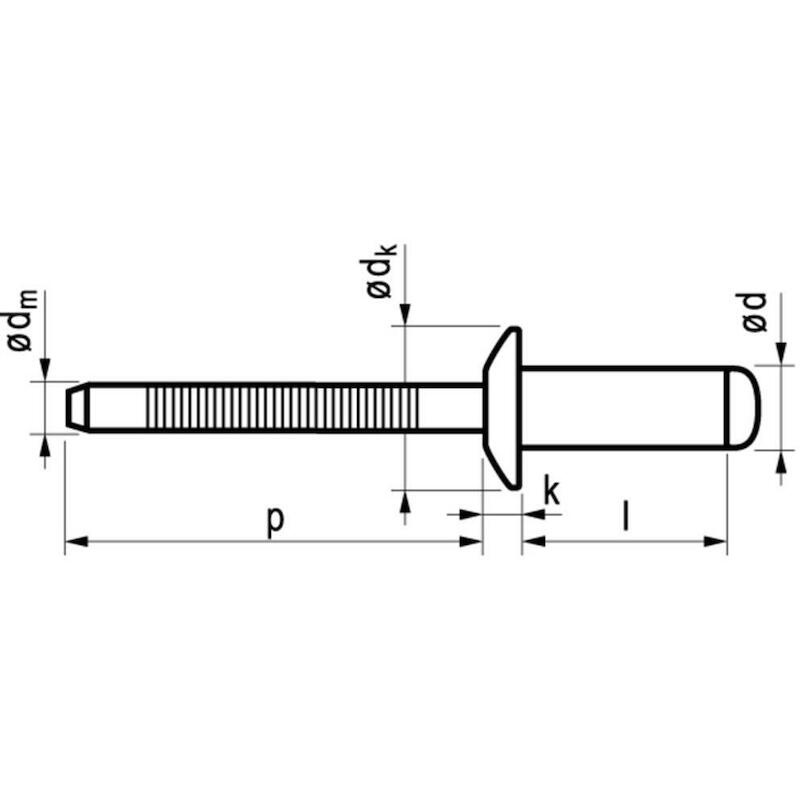 RIVET AVEUGLE IN/IN         1051 - 3 X 10 X 6,5