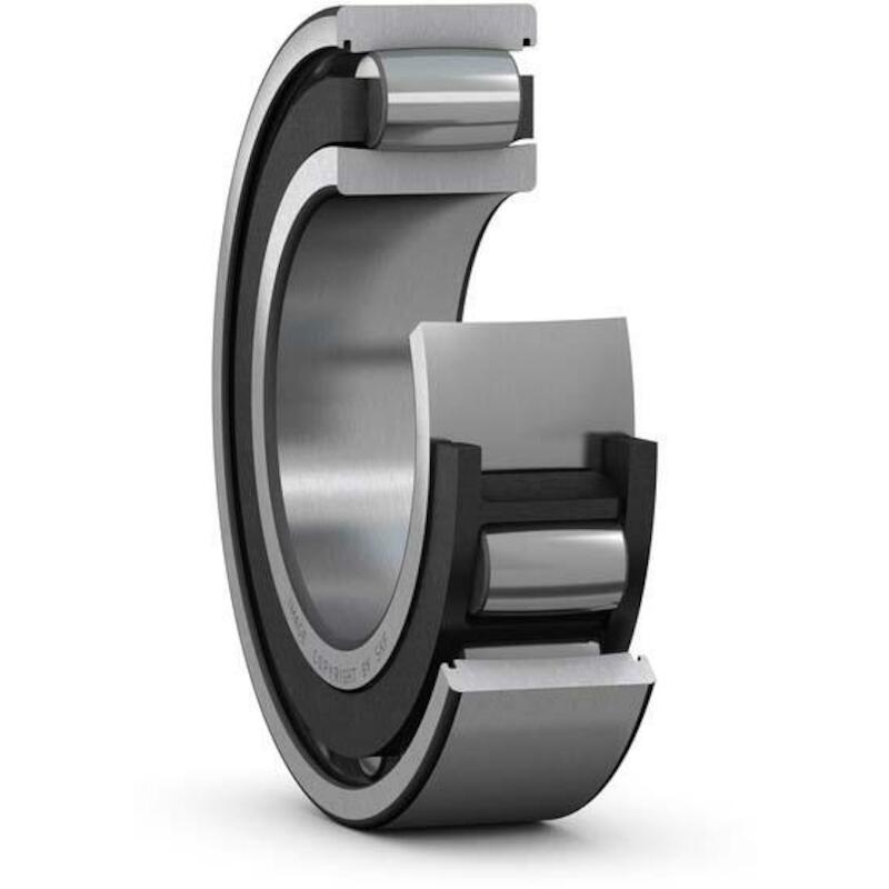 CARB-LAGER                  C 4010 TN9         SKF