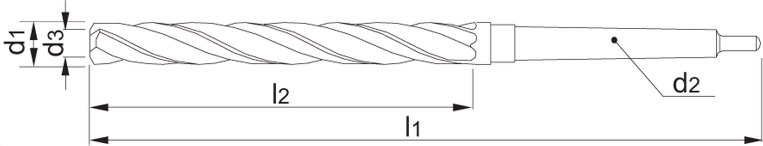 HSS OPBOOR (DRIELIPPENBOOR) DIN 343 MK 44,6 MM - 133204460 - PHANTOM