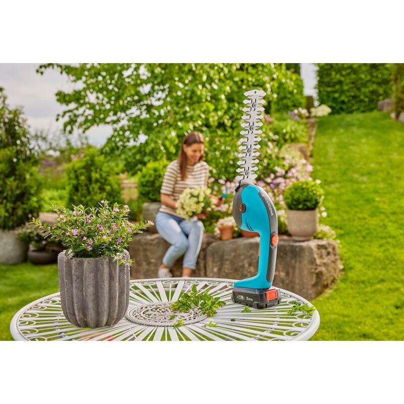 ACCU GRAS/BUXUSSCHAAR 18V/B POWERCUT       GARDEN8