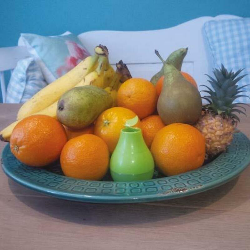PIÈGE POUR MOUCHES À FRUITS 26002103           HGX