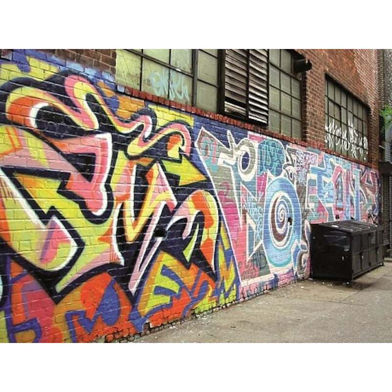 GRAFFITISHIELD ANTI-GRAFF.  57101 10L       RUST-O