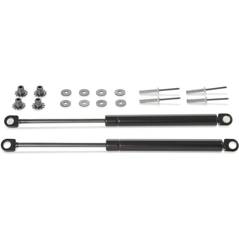 RESSORT A GAS POUR 00 21    00 21 99 V33 (2PC)KNIP