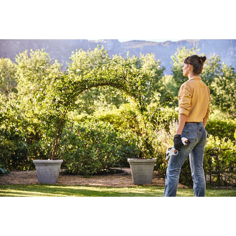 ACCU-SNOEISCHAAR 10,8V/2AH  ASA 20           STIHL