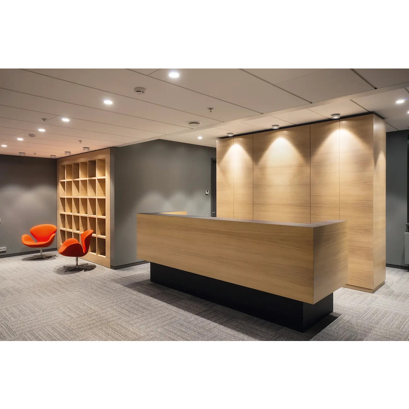 KASTVERBINDERS P-10         CLAMEX  300 PR LAMELLO