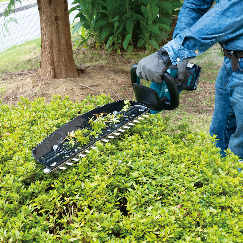 TAILLE-HAIE LXT® - DUH506Z - MAKITA