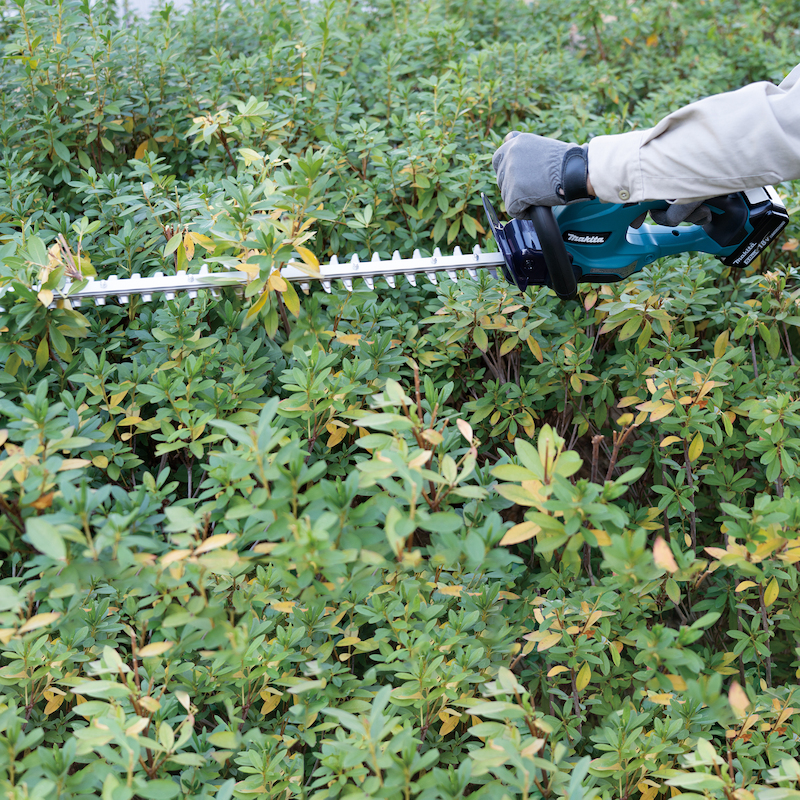 TAILLE-HAIE LXT® - DUH507Z - MAKITA