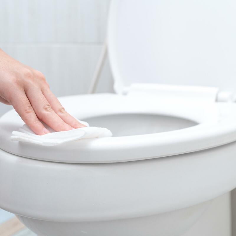 TOILETBRIL REINIGER MINI S5 425302 - 525ML    TORK