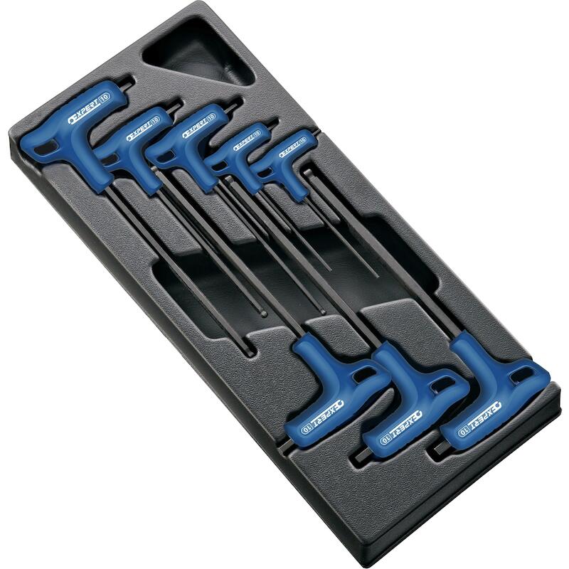 MODULE CLÉS MÂLES T-MANCHE  E121609   (8PC) EXPERT