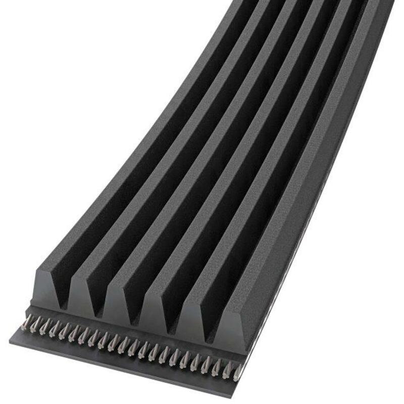 WIKKEL - CONTI V MULTIRIB PL - 5029 376 MM