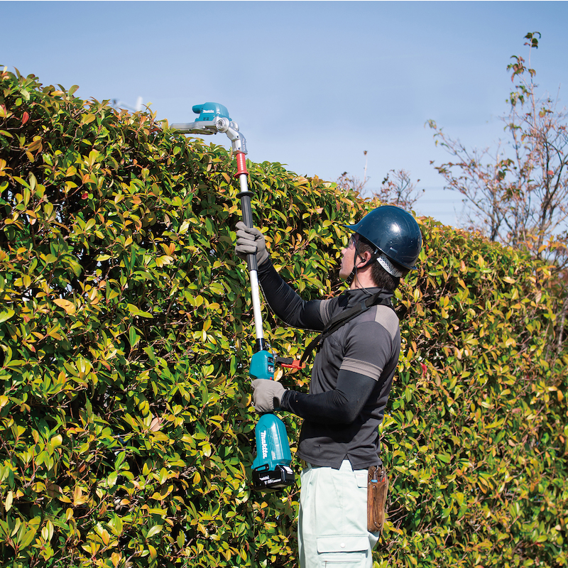 TAILLE-HAIES SUR PERCHE LXT® - DUN500WZ - MAKITA