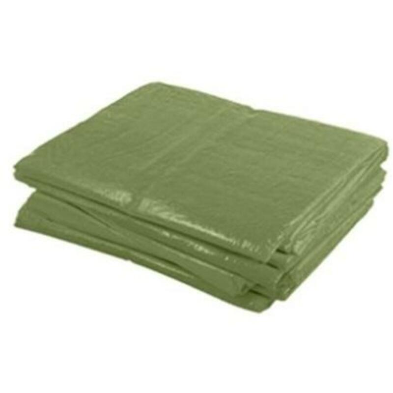BACHE PE VERT               4 X 6M 250G/M2