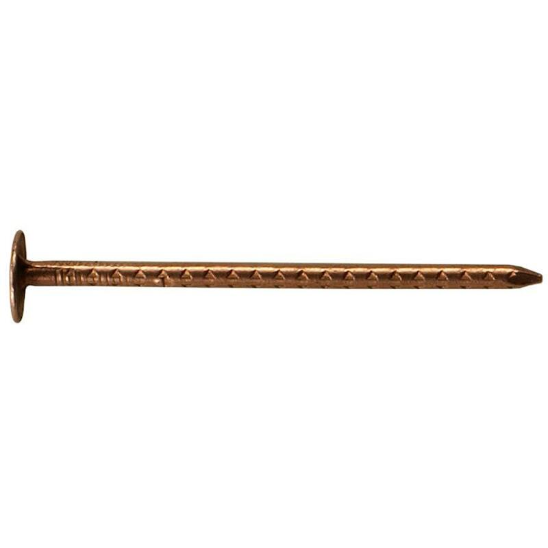 NAIL FLAT (SHALE NAIL) - 3 X 50 MM - COPPER