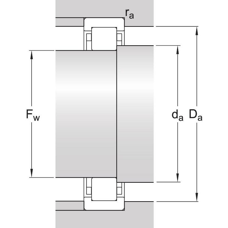 CILINDERLAGER - SKF RNU 306