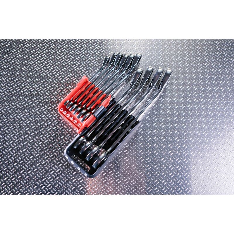Facom - Ringsteekratelsleutelset - 467BR.JP10PB - 8–19 mm - 10-DELIG - In houder - 03169756
