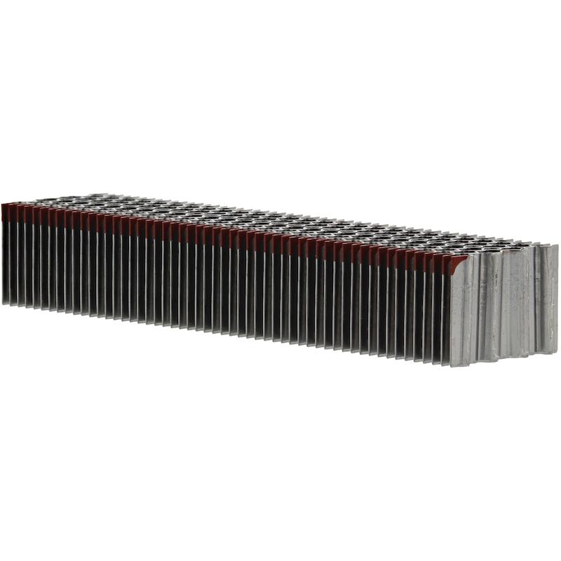 GOLFKRAM BL.25MM             WN35 504349   HAUBOLD