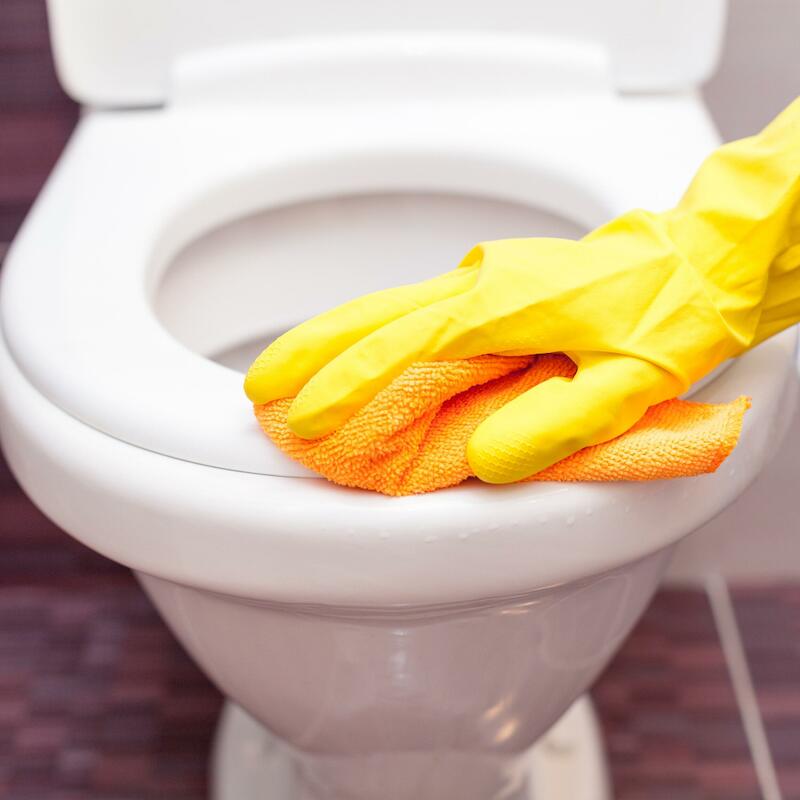TOILETBRILREINIGER - TORK 420302 - 475 ML