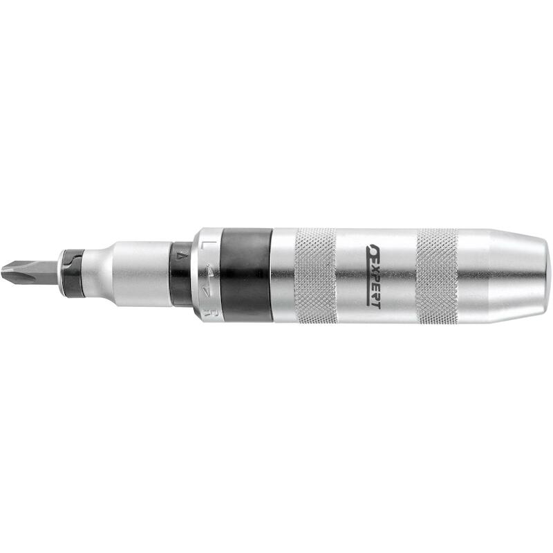 JEU TOURNEVIS DE FRAPPE     E230301(12PCS)  EXPERT