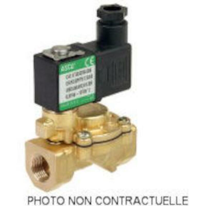 2/2 ELECTROVANNE NF 1/2"    SCE238D007.230/50 ASCO