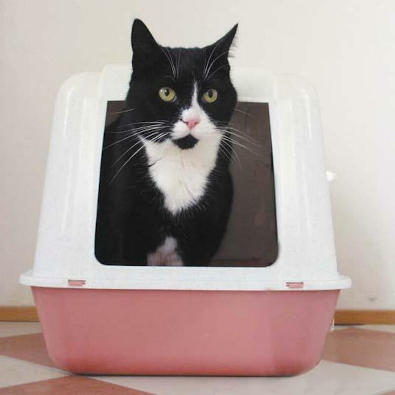 TEGEN KATTENBAKGEUR         409050103     500ML HG