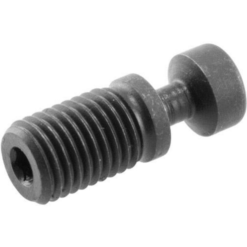 ACC. BURIN A PLAQUETTES ALV-02-M6X17           4MP