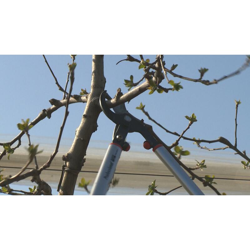 TAKKENSCHAAR 40MM/800MM     P280-SL-80 HEFBOOM BAH